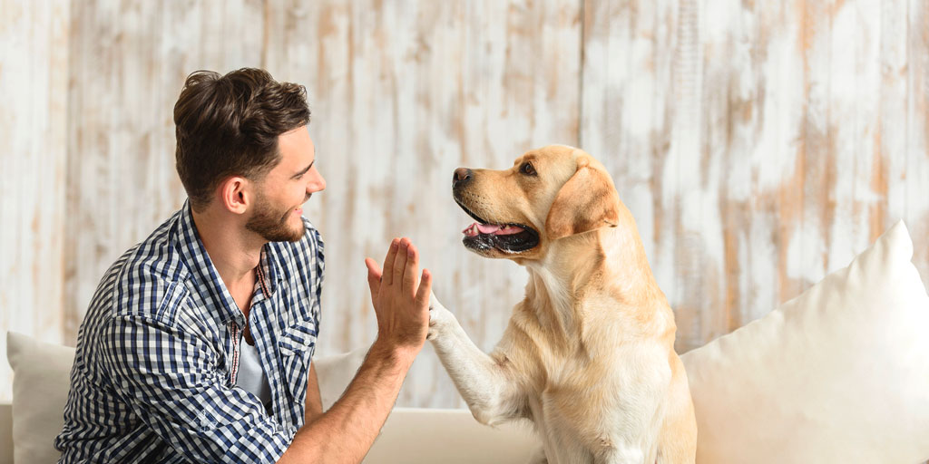 La importancia de las farmacias veterinarias