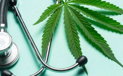 El Gobierno se abre a dispensar derivados medicinales